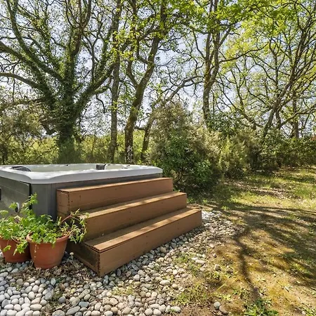Designer With Private Garden & Jacuzzi Apartment Montevarchi